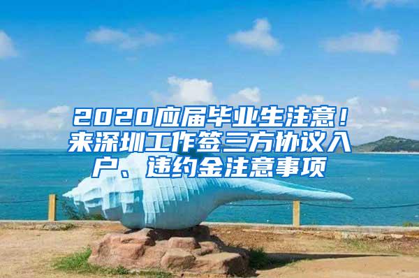 2020应届毕业生注意！来深圳工作签三方协议入户、违约金注意事项