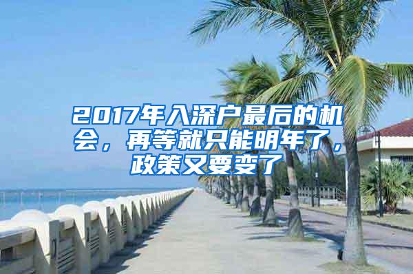 2017年入深户最后的机会，再等就只能明年了，政策又要变了