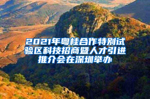 2021年粤桂合作特别试验区科技招商暨人才引进推介会在深圳举办