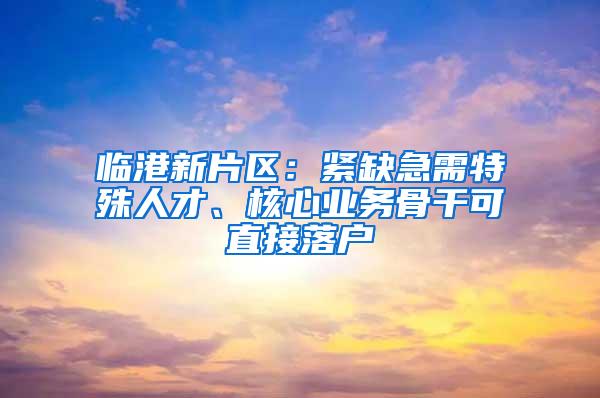 临港新片区：紧缺急需特殊人才、核心业务骨干可直接落户