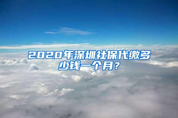 2020年深圳社保代缴多少钱一个月？