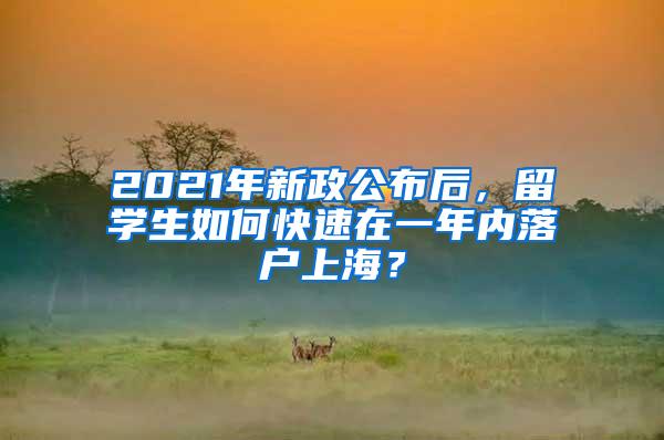 2021年新政公布后，留学生如何快速在一年内落户上海？