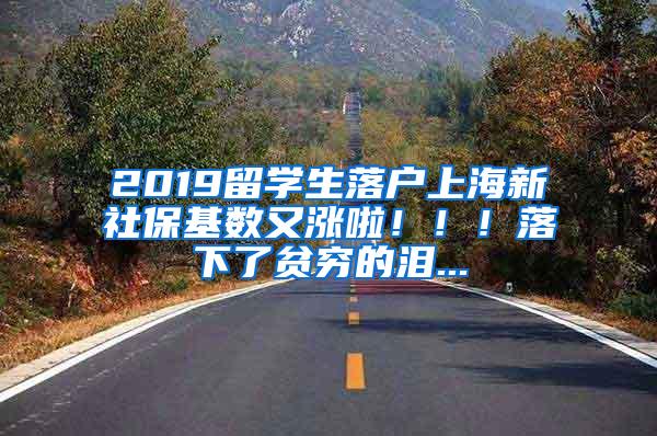 2019留学生落户上海新社保基数又涨啦！！！落下了贫穷的泪...