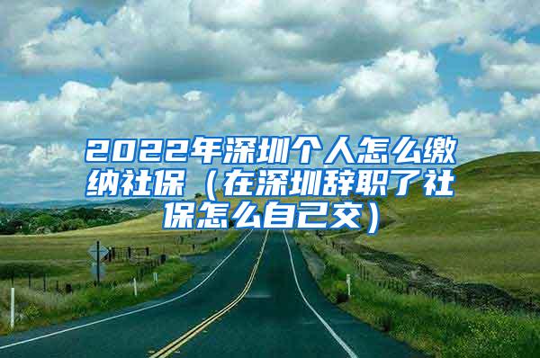 2022年深圳个人怎么缴纳社保（在深圳辞职了社保怎么自己交）