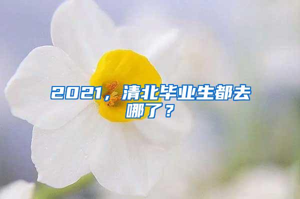 2021，清北毕业生都去哪了？