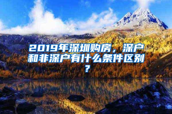 2019年深圳购房，深户和非深户有什么条件区别？