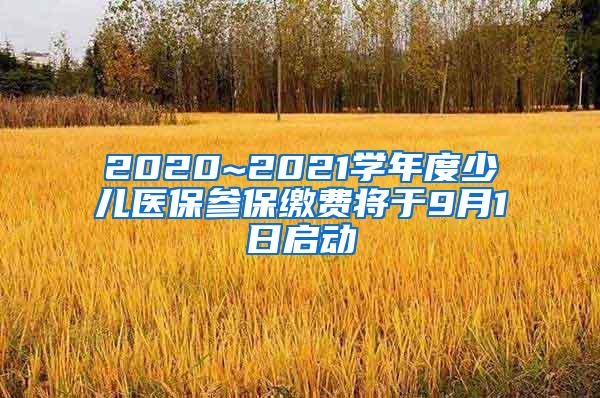 2020~2021学年度少儿医保参保缴费将于9月1日启动