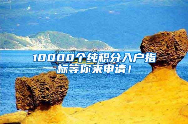 10000个纯积分入户指标等你来申请！