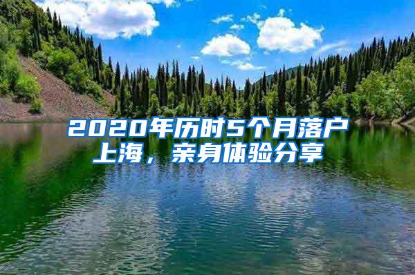 2020年历时5个月落户上海，亲身体验分享