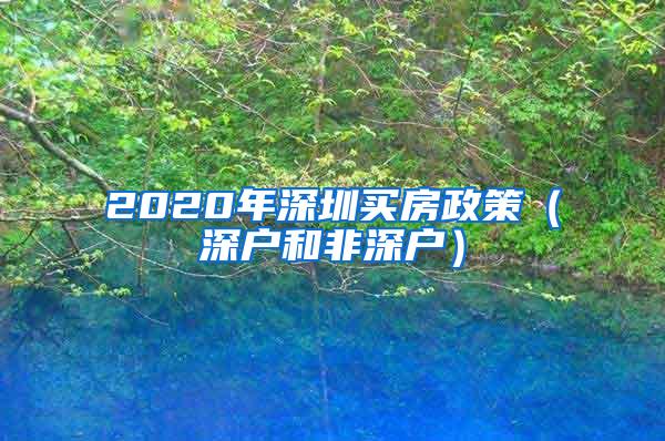 2020年深圳买房政策（深户和非深户）