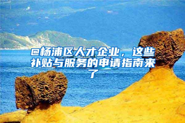 @杨浦区人才企业，这些补贴与服务的申请指南来了