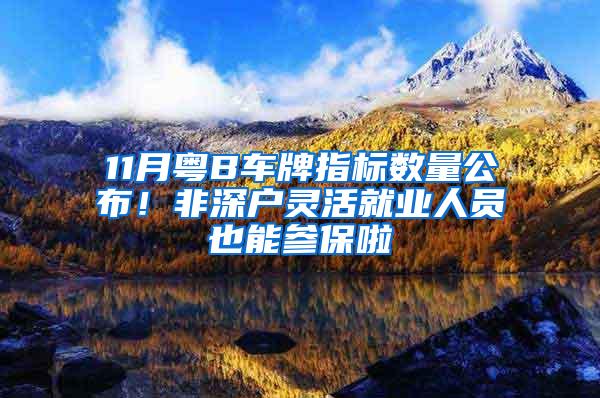 11月粤B车牌指标数量公布！非深户灵活就业人员也能参保啦