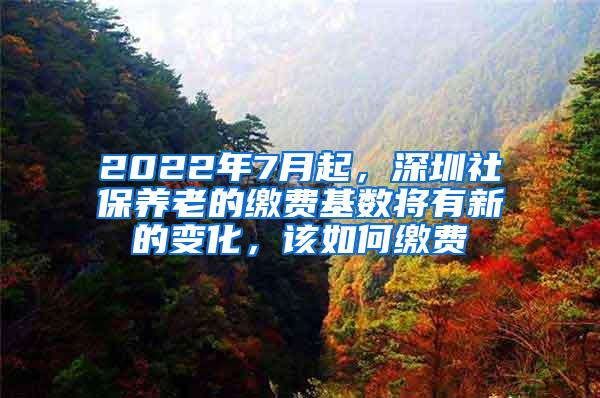 2022年7月起，深圳社保养老的缴费基数将有新的变化，该如何缴费