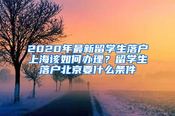 2020年最新留学生落户上海该如何办理？留学生落户北京要什么条件