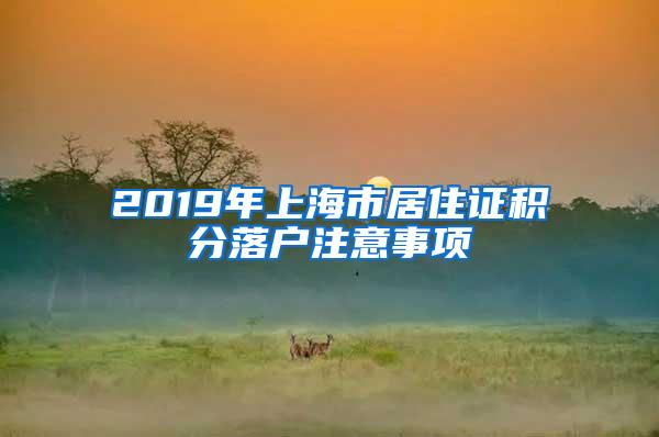 2019年上海市居住证积分落户注意事项