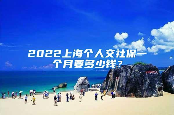 2022上海个人交社保一个月要多少钱？