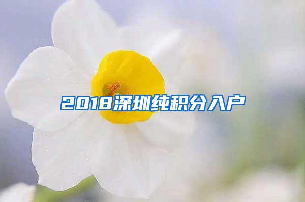 2018深圳纯积分入户