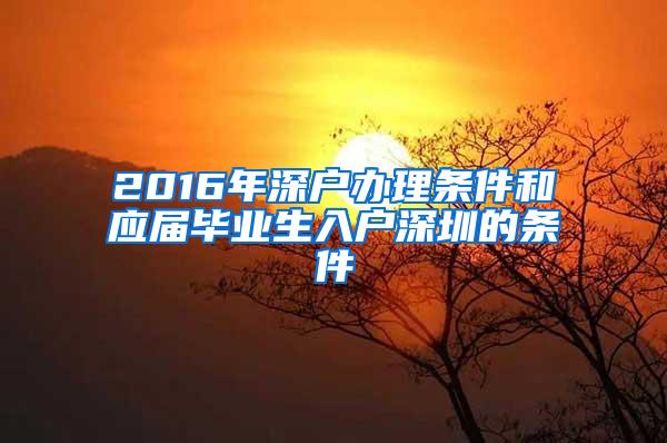 2016年深户办理条件和应届毕业生入户深圳的条件