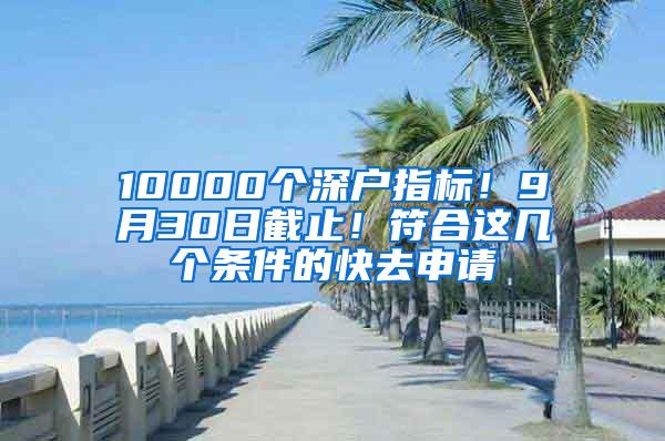 10000个深户指标！9月30日截止！符合这几个条件的快去申请