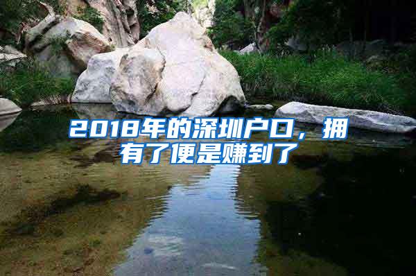 2018年的深圳户口，拥有了便是赚到了