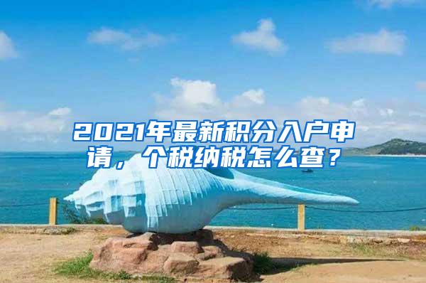 2021年最新积分入户申请，个税纳税怎么查？