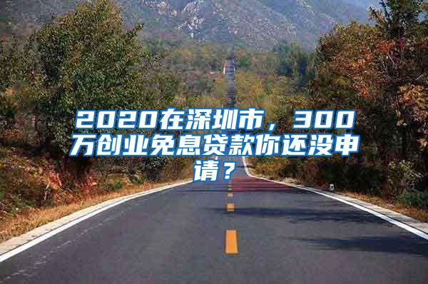 2020在深圳市，300万创业免息贷款你还没申请？