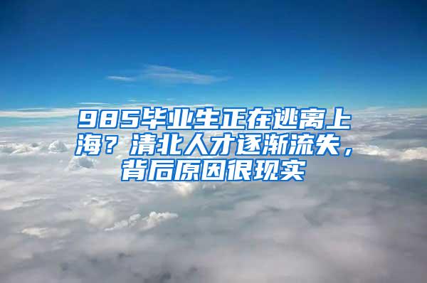 985毕业生正在逃离上海？清北人才逐渐流失，背后原因很现实