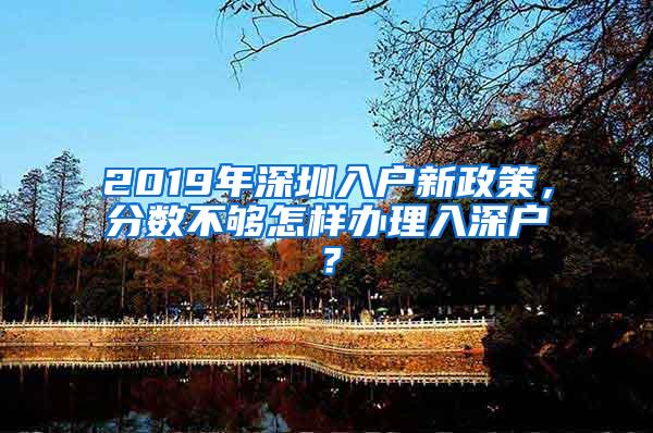 2019年深圳入户新政策，分数不够怎样办理入深户？