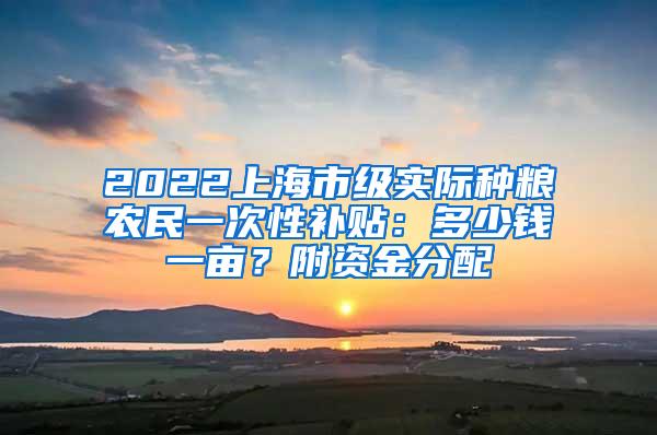 2022上海市级实际种粮农民一次性补贴：多少钱一亩？附资金分配