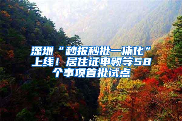 深圳“秒报秒批一体化”上线！居住证申领等58个事项首批试点