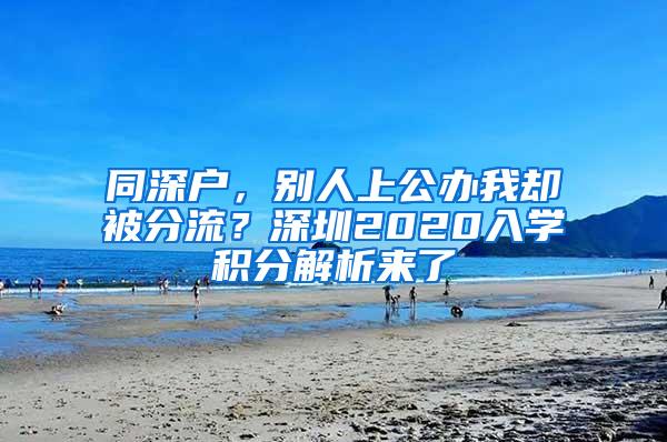 同深户，别人上公办我却被分流？深圳2020入学积分解析来了