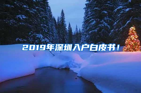 2019年深圳入户白皮书！