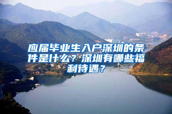 应届毕业生入户深圳的条件是什么？深圳有哪些福利待遇？