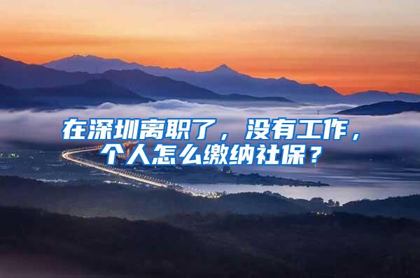 在深圳离职了，没有工作，个人怎么缴纳社保？