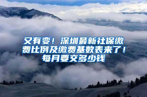 又有变！深圳最新社保缴费比例及缴费基数表来了！每月要交多少钱