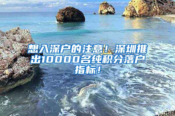 想入深户的注意！深圳推出10000名纯积分落户指标！