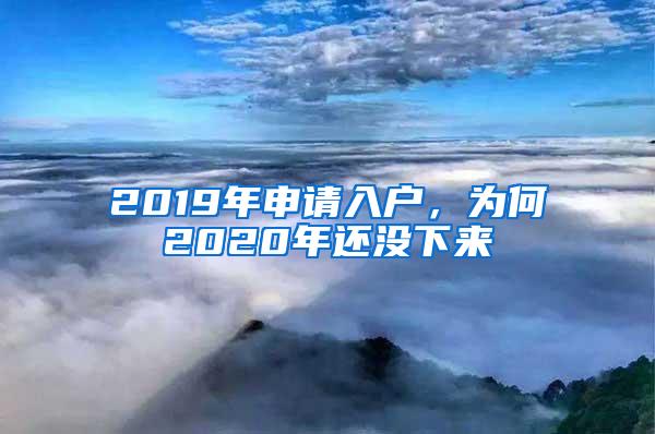 2019年申请入户，为何2020年还没下来