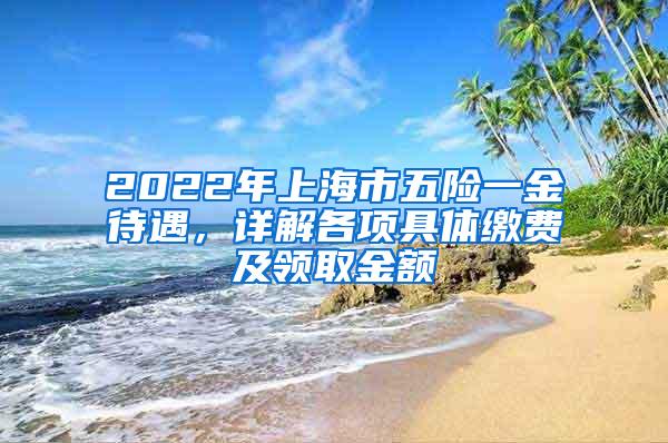 2022年上海市五险一金待遇，详解各项具体缴费及领取金额