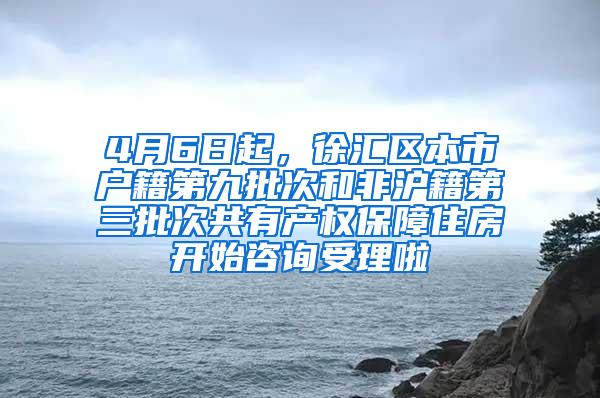 4月6日起，徐汇区本市户籍第九批次和非沪籍第三批次共有产权保障住房开始咨询受理啦