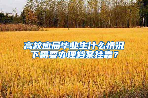 高校应届毕业生什么情况下需要办理档案挂靠？