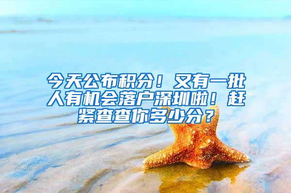 今天公布积分！又有一批人有机会落户深圳啦！赶紧查查你多少分？