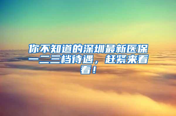 你不知道的深圳最新医保一二三档待遇，赶紧来看看！