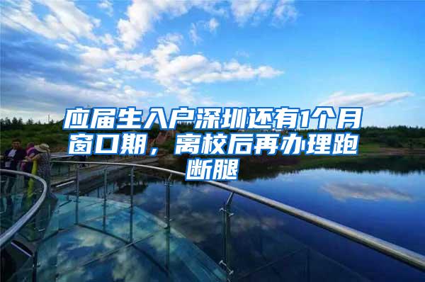 应届生入户深圳还有1个月窗口期，离校后再办理跑断腿