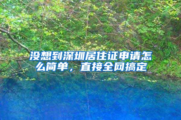 没想到深圳居住证申请怎么简单，直接全网搞定