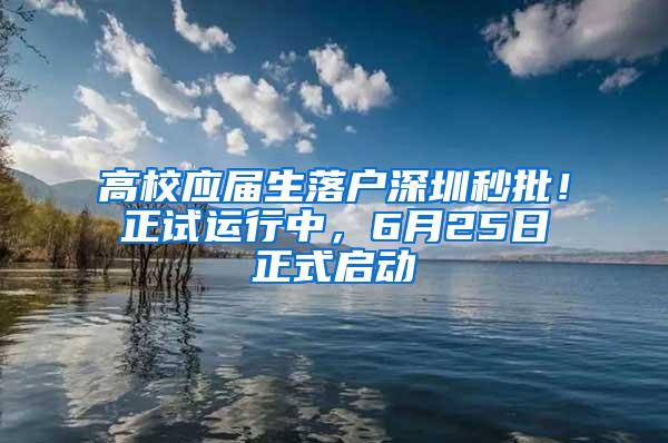 高校应届生落户深圳秒批！正试运行中，6月25日正式启动