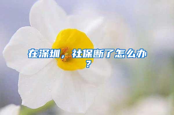 在深圳，社保断了怎么办？