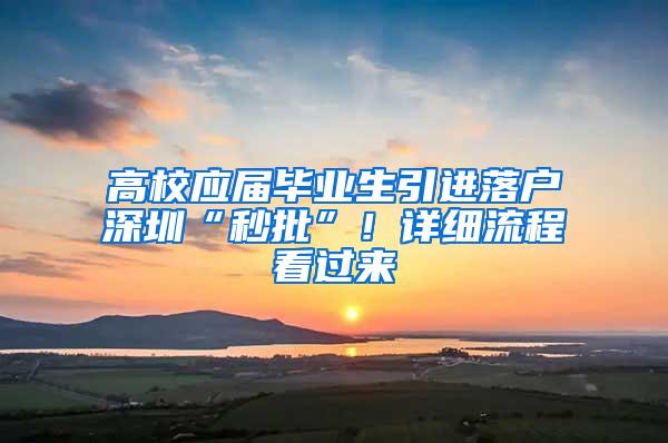 高校应届毕业生引进落户深圳“秒批”！详细流程看过来