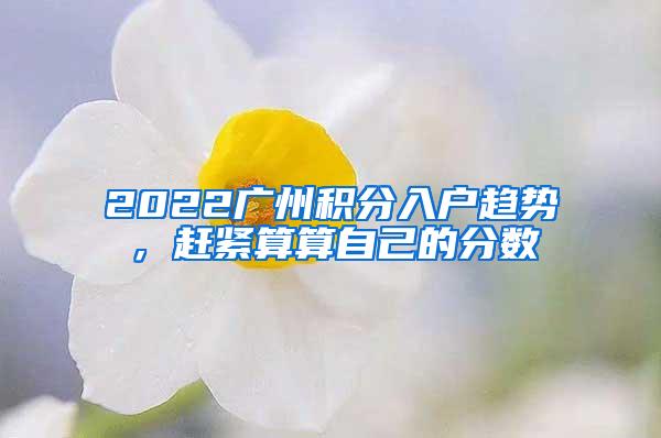 2022广州积分入户趋势，赶紧算算自己的分数