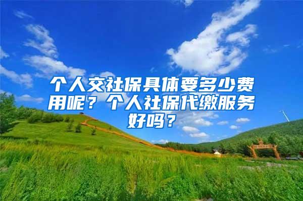 个人交社保具体要多少费用呢？个人社保代缴服务好吗？