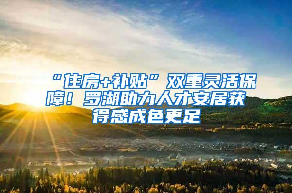 “住房+补贴”双重灵活保障！罗湖助力人才安居获得感成色更足